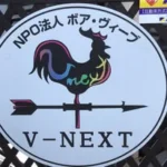 V-NEXT